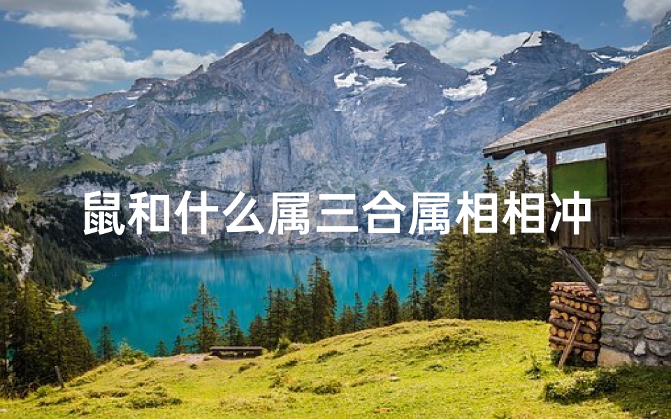 鼠和什么属三合属相相冲(属鼠三合和三冲属相)