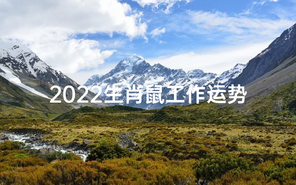 2022生肖鼠工作运势,2022鼠年职场顺风顺水：运势飙升，事业腾飞