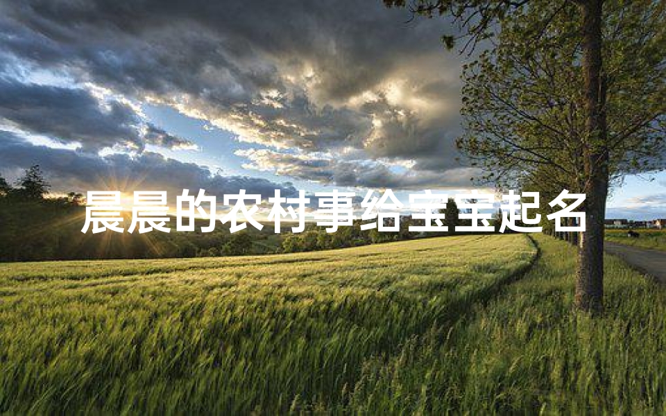 晨晨的农村事给宝宝起名字(除病去灾的小名)