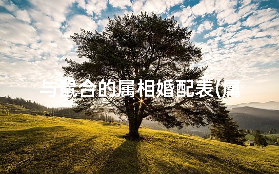 与鼠合的属相婚配表(属鼠的属相婚配表 )