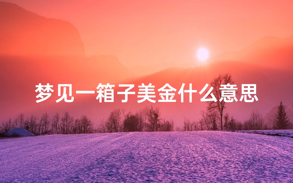 梦见一箱子美金什么意思;梦见一箱子钱好不好