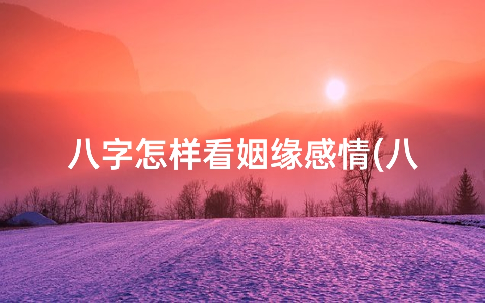 八字怎样看姻缘感情(八字姻缘解析:男命八字如何看姻缘旺相)