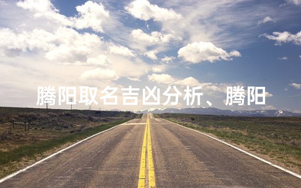 腾阳取名吉凶分析、腾阳集团百度百科