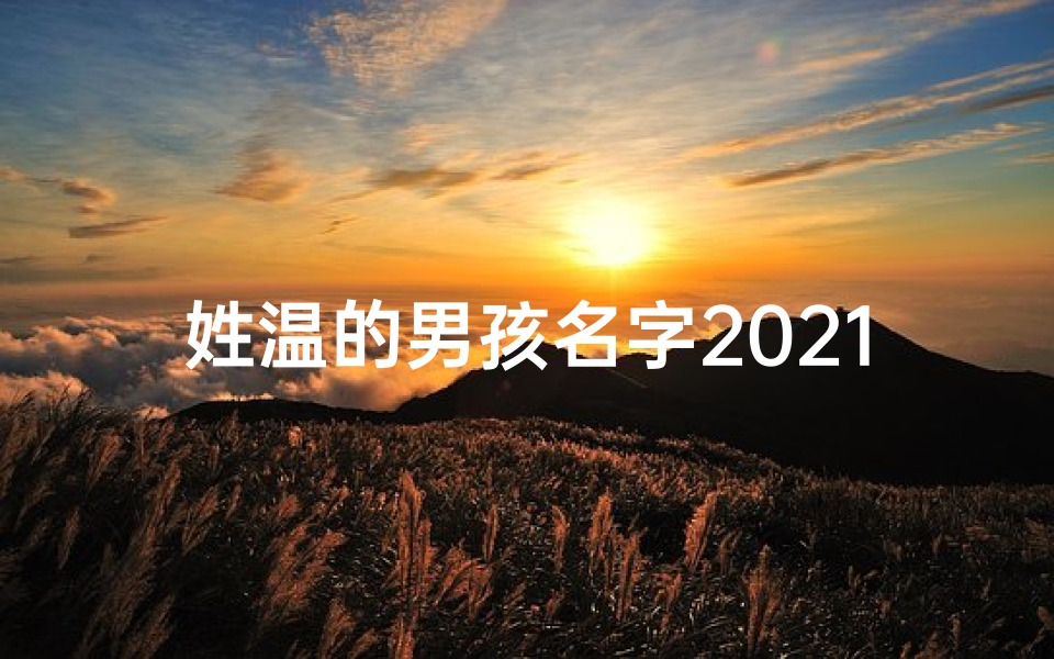 姓温的男孩名字2021、《温家宝贝:萌娃温子轩的欢乐成长记》