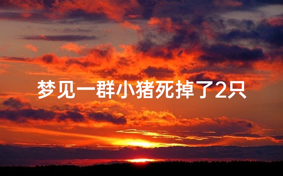 梦见一群小猪死掉了2只,梦见两窝小猪有死的有活着的
