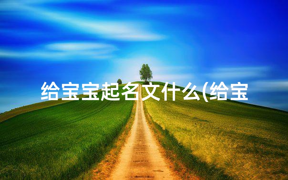 给宝宝起名文什么(给宝宝起名男孩闫文什么)