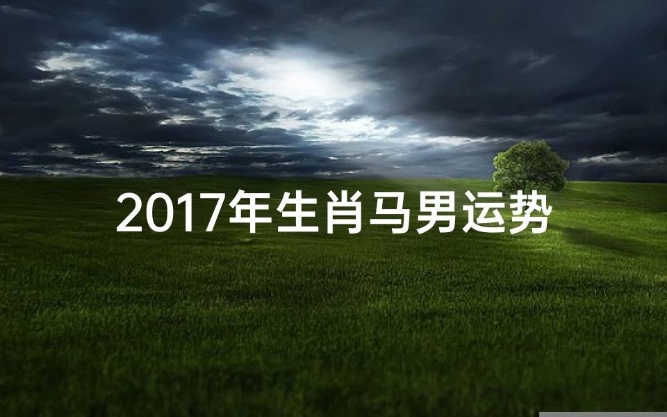 2017年生肖马男运势