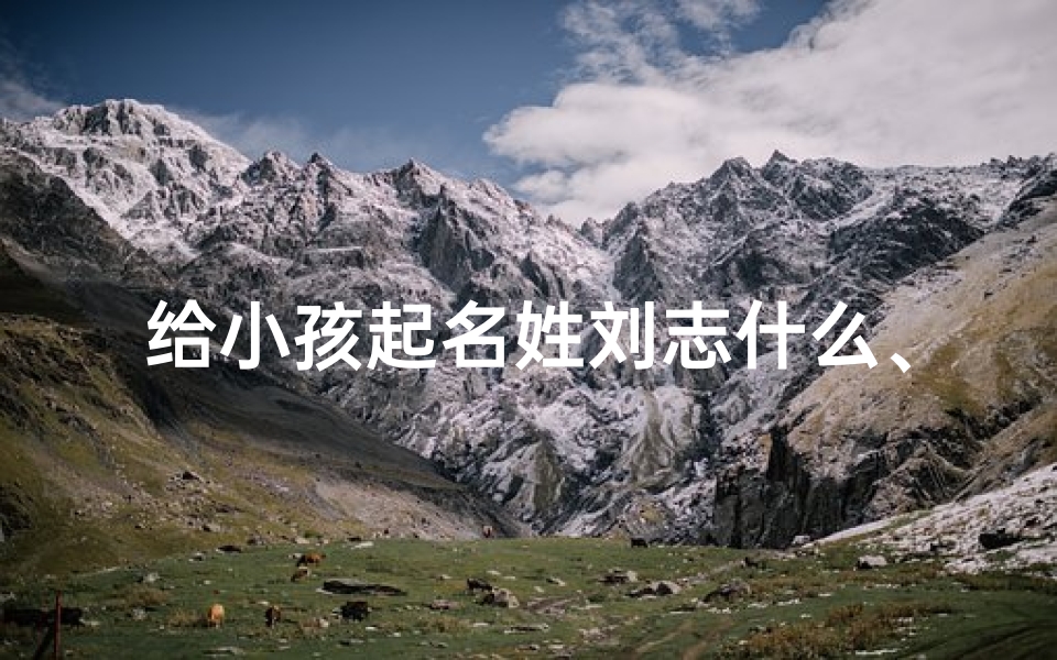 给小孩起名姓刘志什么、《刘志宝贝:探寻寓意美好的名字奥秘》