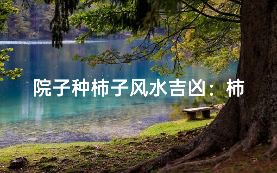 院子种柿子风水吉凶:柿子树风水禁忌解析