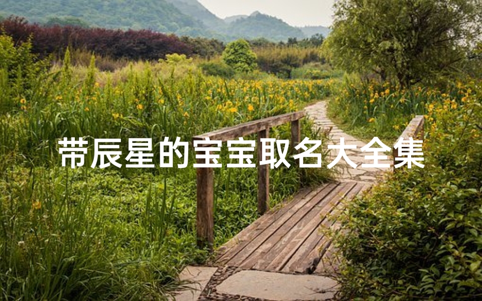 带辰星的宝宝取名大全集—《带辰星宝宝取名大全：星辉熠熠，吉祥如意》