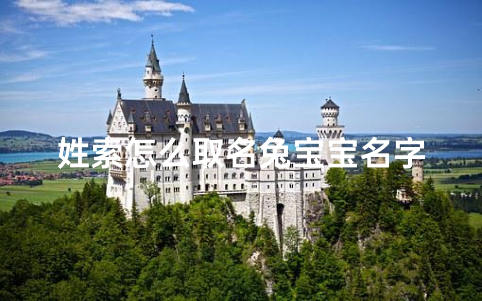 姓索怎么取名兔宝宝名字-《索姓兔宝宝名字精选:寓意美好,寓意吉祥》-东贵算卦网