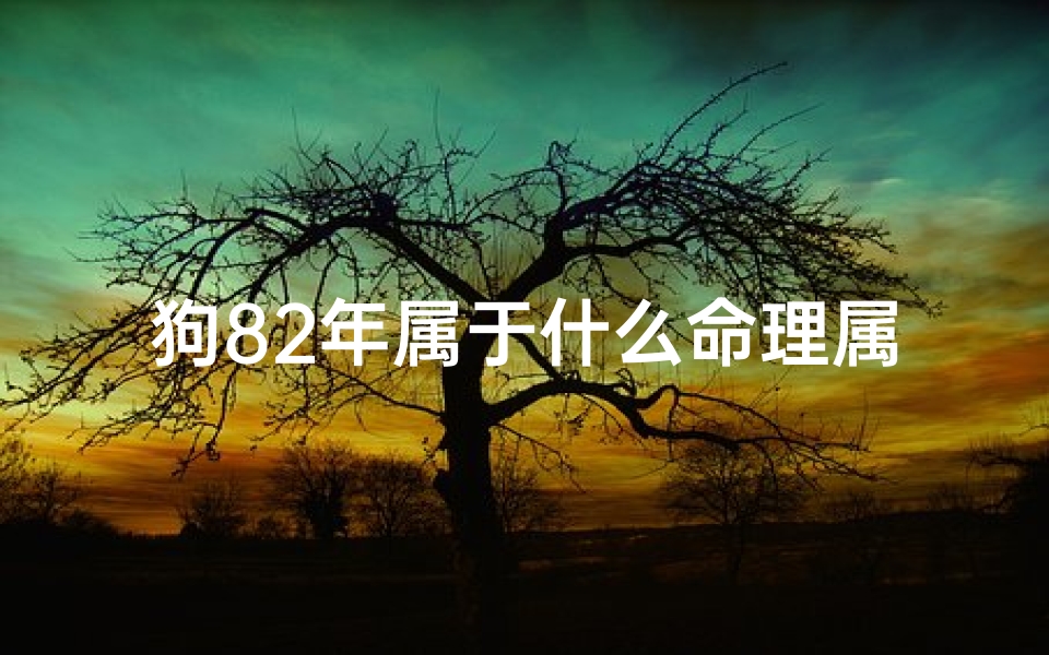 狗82年属于什么命理属性(82年属狗的是什么命)