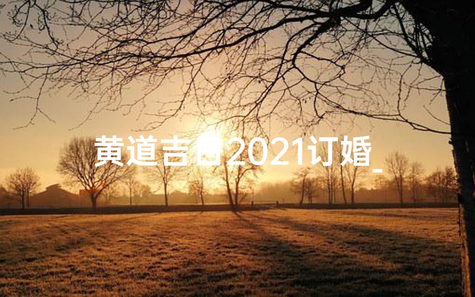黄道吉日2021订婚_2021黄道吉日1份订婚老黄历