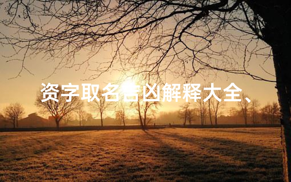 资字取名吉凶解释大全、资字取名吉凶解释大全及寓意