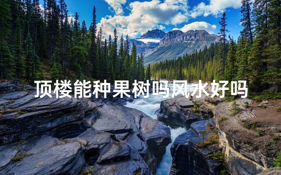 顶楼能种果树吗风水好吗;顶楼种果树风水解析:适宜与否揭秘