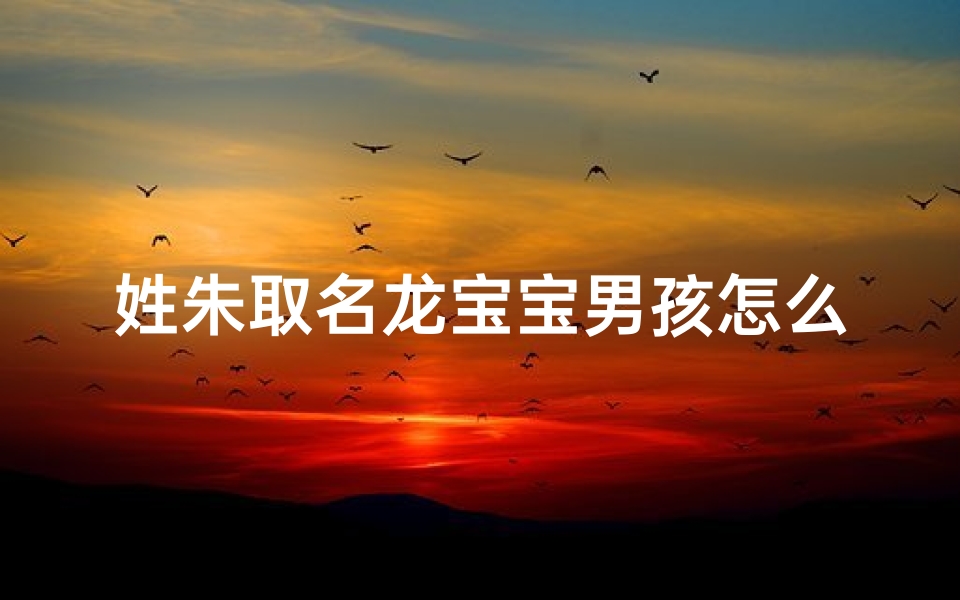 姓朱取名龙宝宝男孩怎么取—给姓朱的男宝宝取名