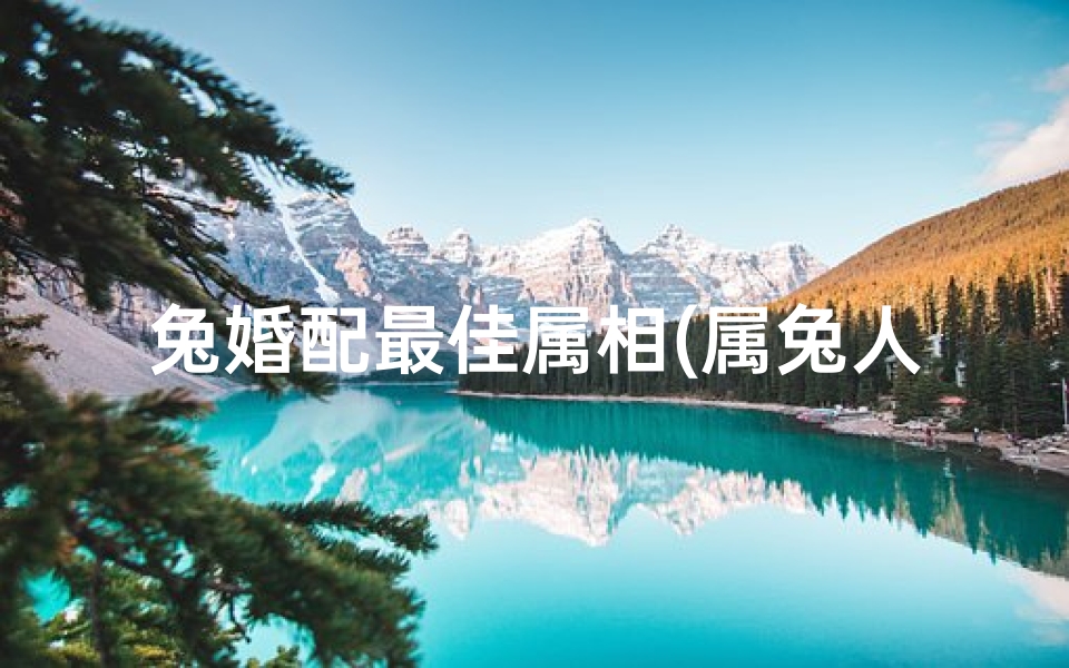 兔婚配最佳属相(属兔人与什么属相配最好)