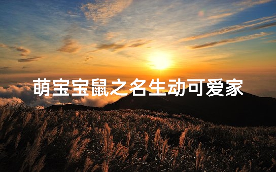 萌宝宝鼠之名生动可爱家庭新宠