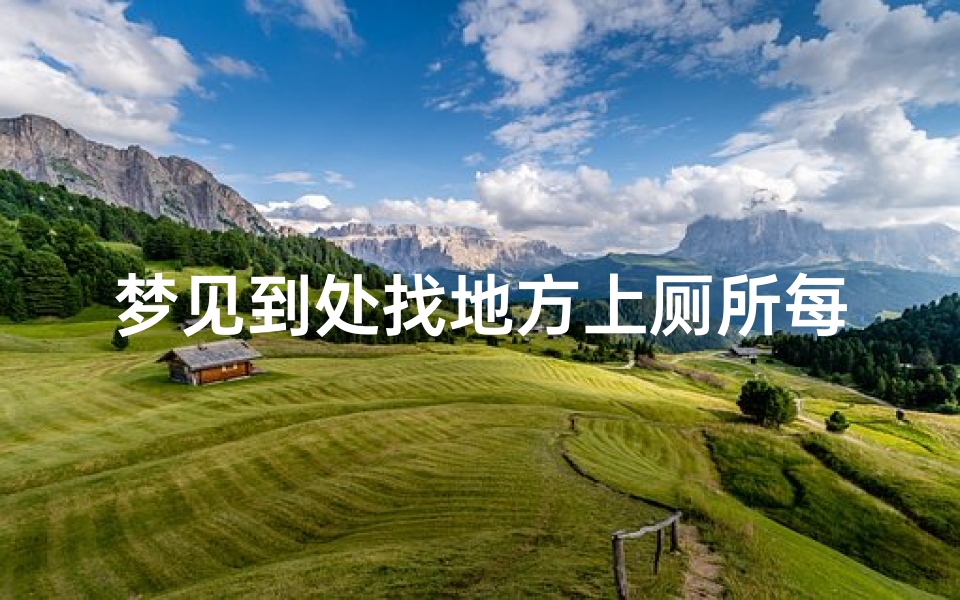 梦见到处找地方上厕所每次都有人