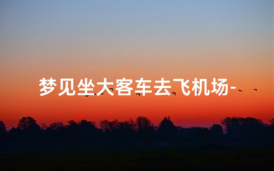 梦见坐大客车去飞机场-梦见坐车去坐飞机