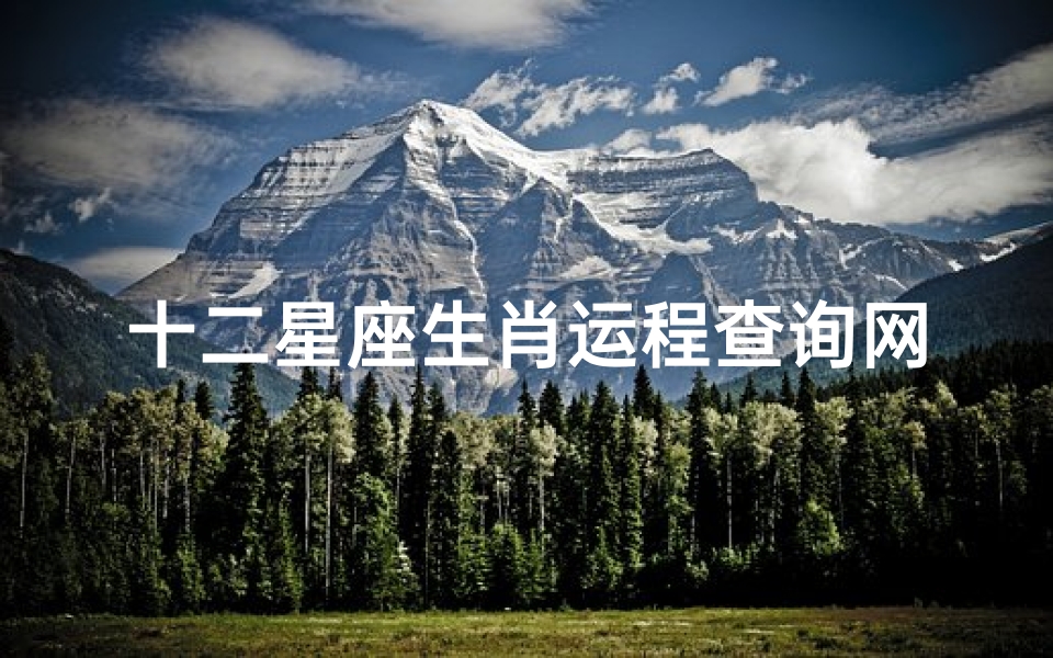 十二星座生肖运程查询网(十二星座查询哪儿有)