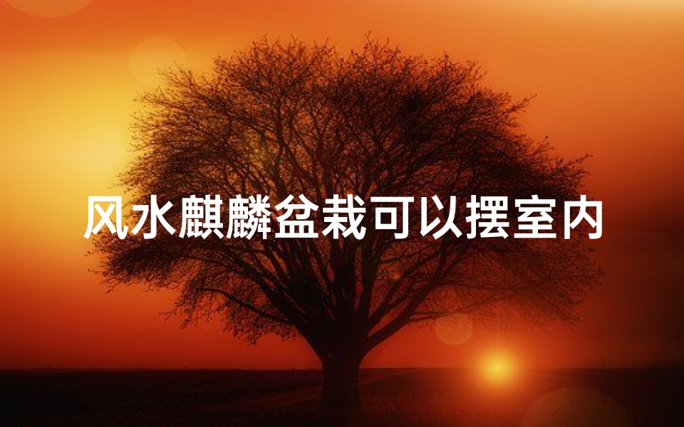 风水麒麟盆栽可以摆室内吗,麒麟盆栽的摆放在客厅什么位置好