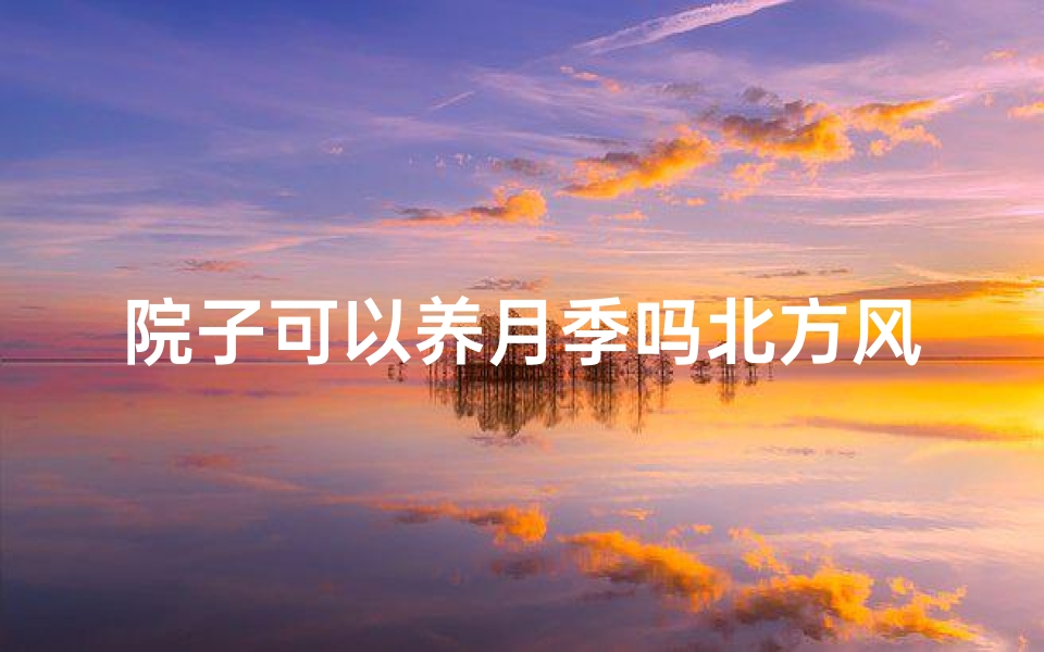 院子可以养月季吗北方风水