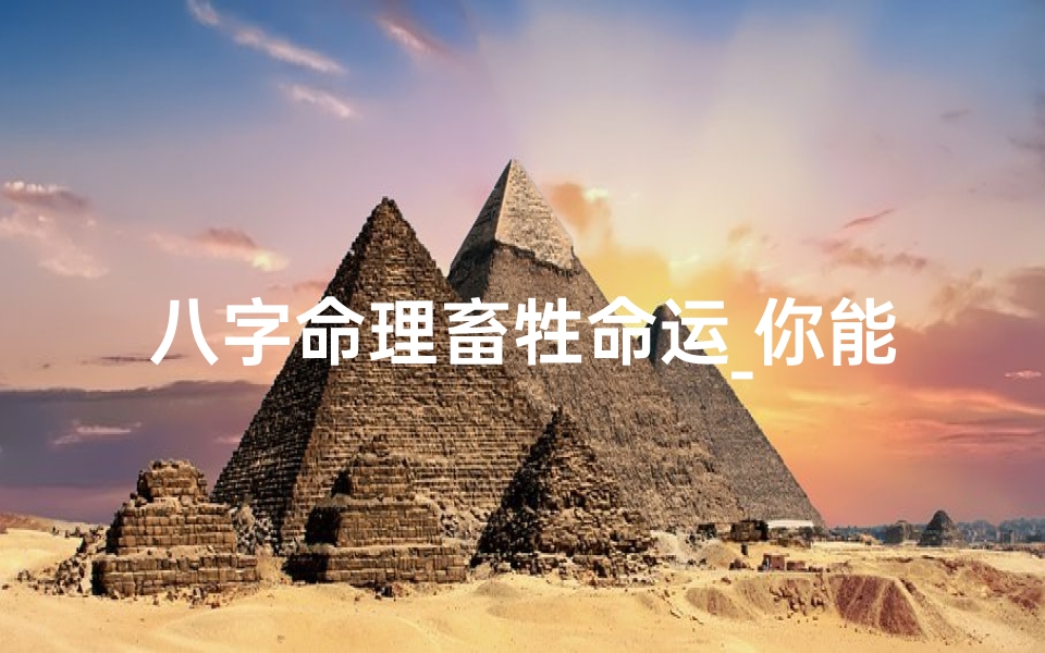 八字命理畜牲命运_你能识别是一个牲畜的八字吗