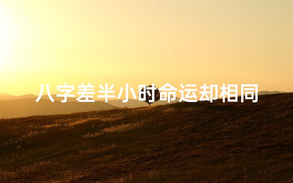八字差半小时命运却相同