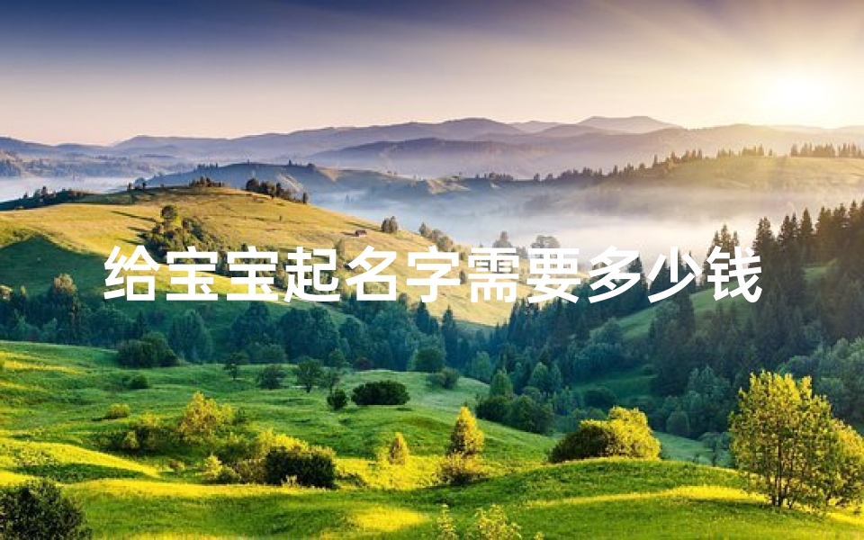 给宝宝起名字需要多少钱(需要花钱给宝宝起名字吗 )