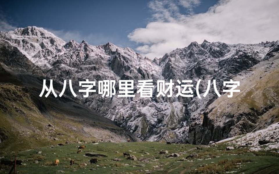 从八字哪里看财运(八字怎么看财运)
