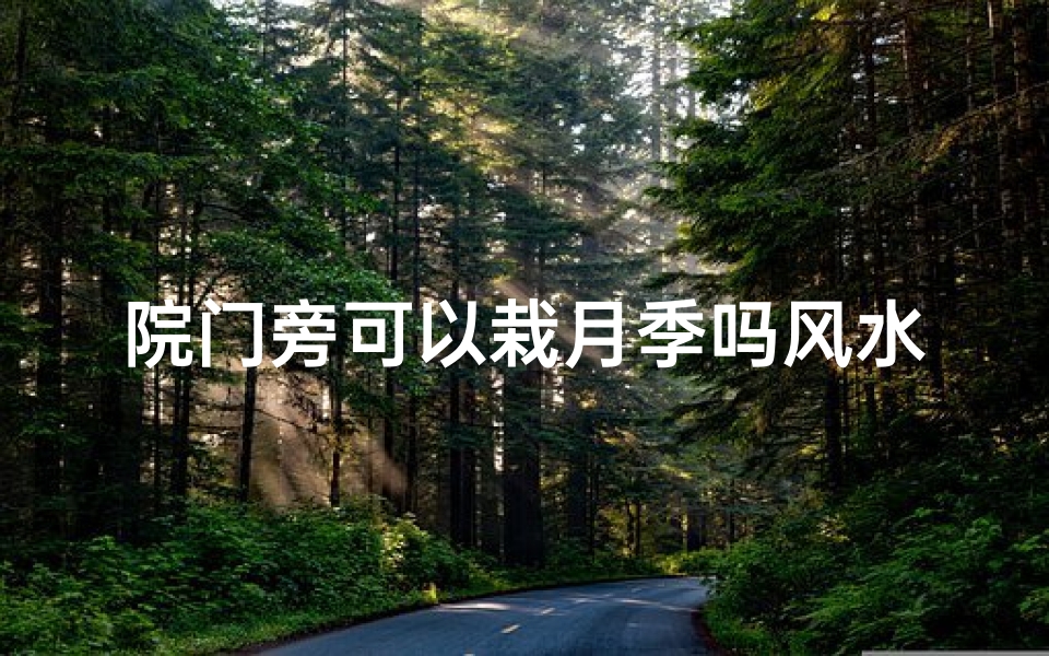 院门旁可以栽月季吗风水