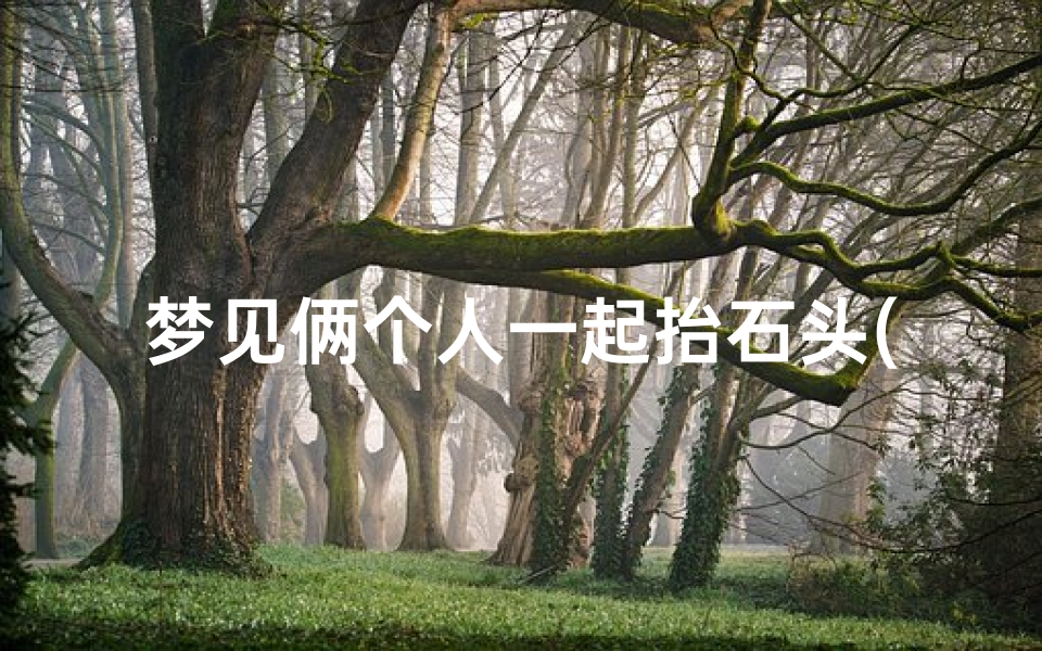 梦见俩个人一起抬石头(梦见俩个人一起抬石头走路)-东贵算卦网