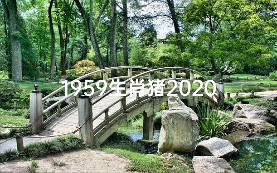 1959生肖猪2020年运势怎样-1959年属猪2019运势揭秘:猪年运势大起底-东贵算卦网