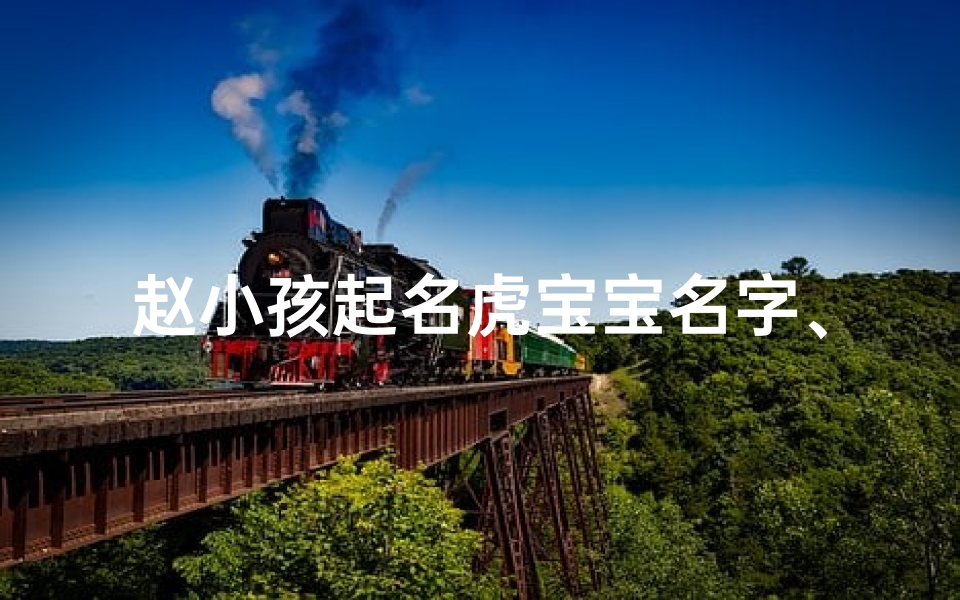 赵小孩起名虎宝宝名字、姓赵虎年宝宝名字