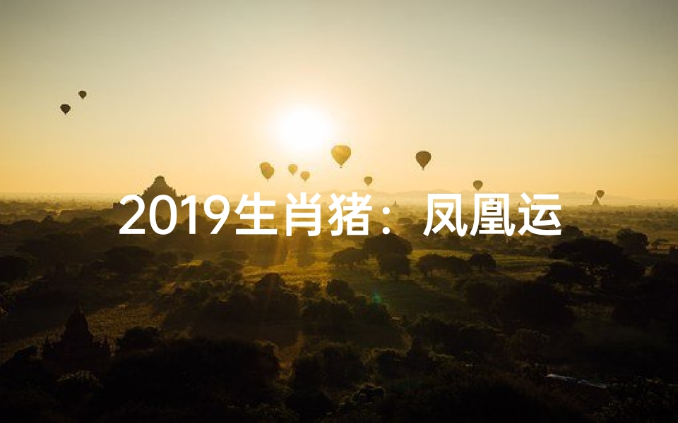 2019生肖猪:凤凰运势腾飞年