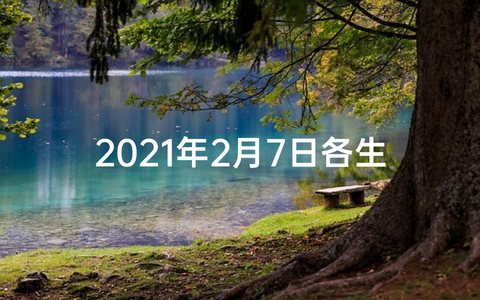 2021年2月7日各生肖运势_2月7日生肖兔运势:好运连连,吉星高照