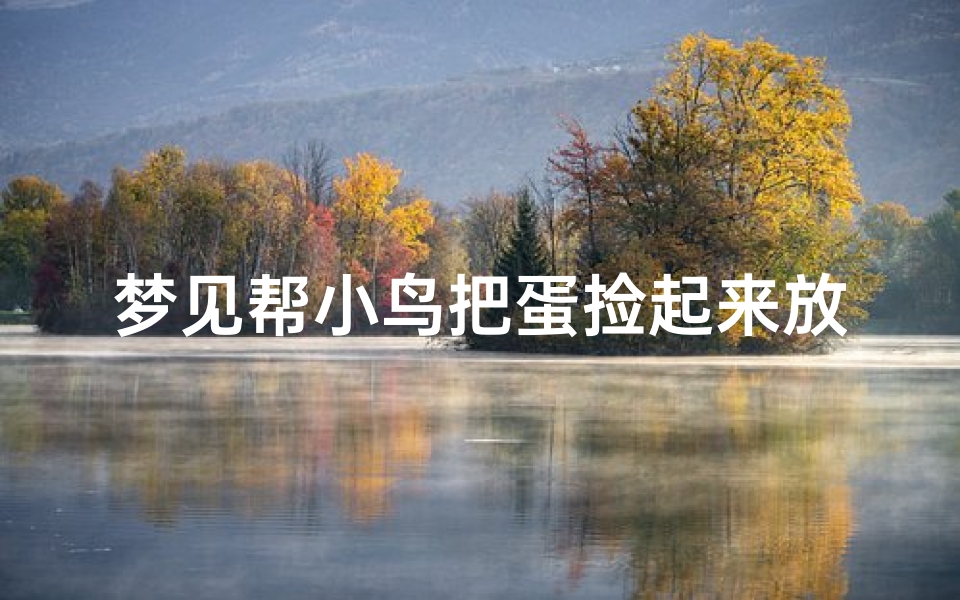 梦见帮小鸟把蛋捡起来放回窝里;梦见捡鸟蛋有的打碎了