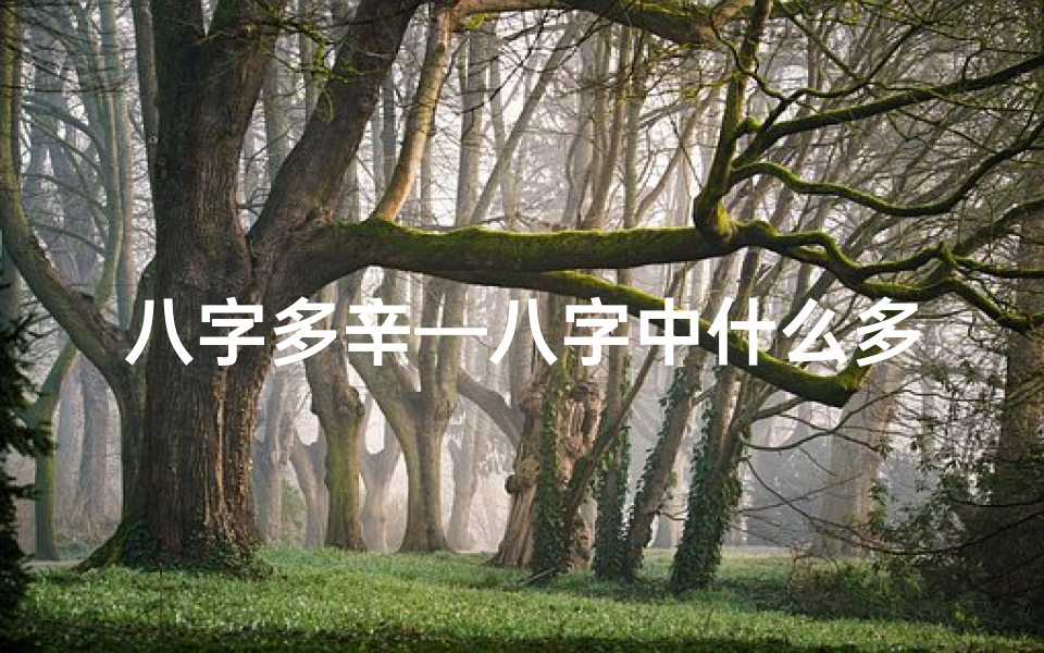 八字多辛—八字中什么多就是什么命:揭秘命运之谜