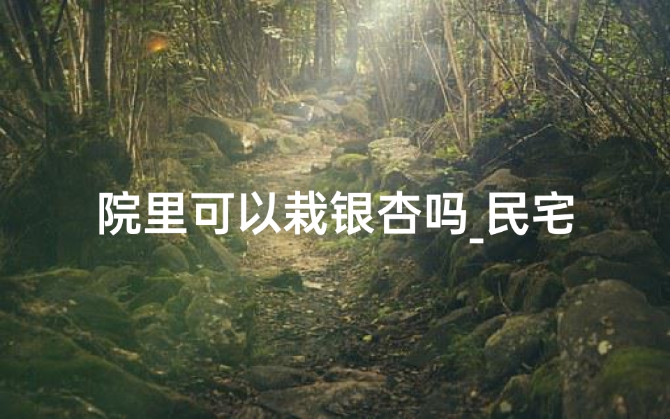 院里可以栽银杏吗_民宅栽银杏风水佳否?