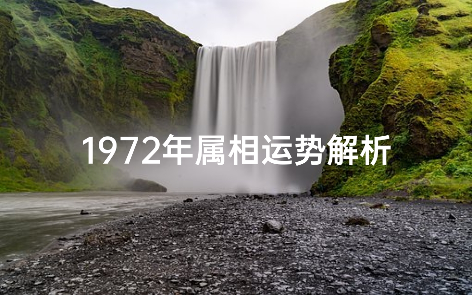 1972年属相运势解析,生肖鼠、龙、猴、狗运程详解