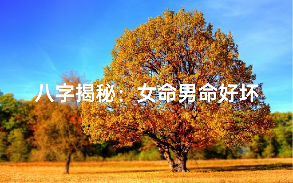 八字揭秘:女命男命好坏一看便知