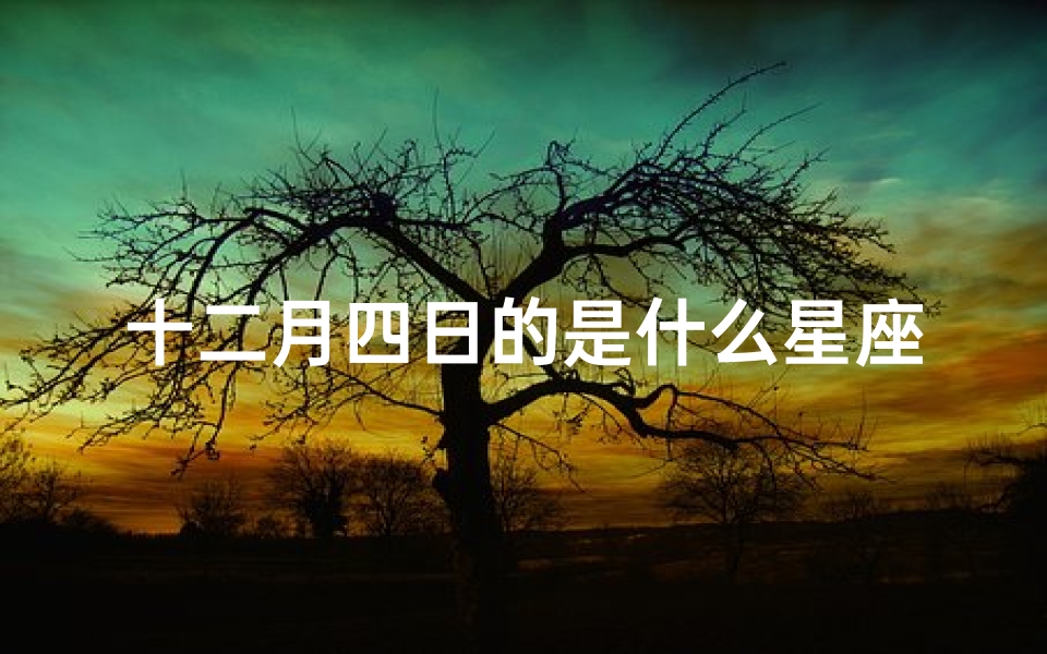 十二月四日的是什么星座(十二月四日是什么星座)