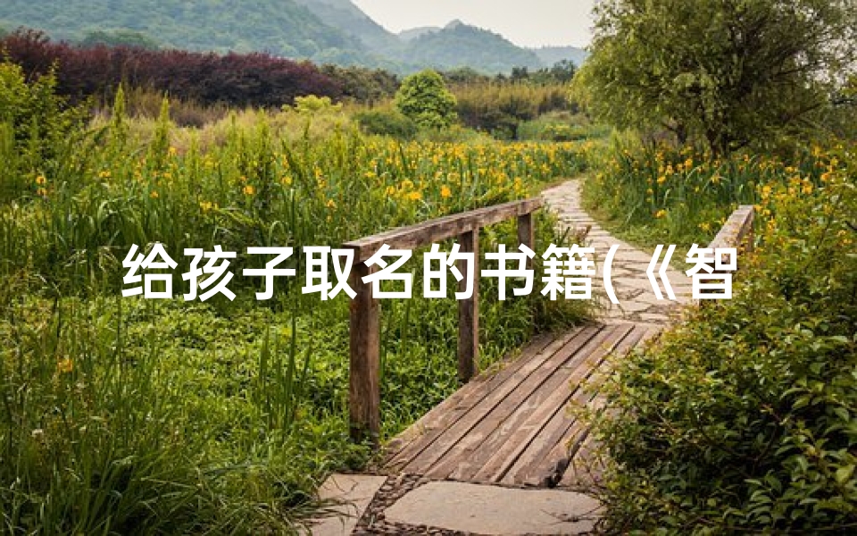 给孩子取名的书籍(《智慧童心:寓意美好儿童名著精选》)