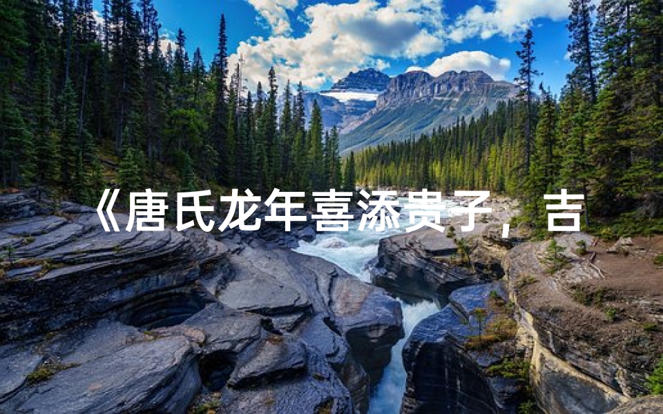 《唐氏龙年喜添贵子,吉祥宝宝降临人间》