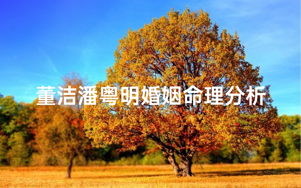 董洁潘粤明婚姻命理分析(潘粤明董洁婚变原因)