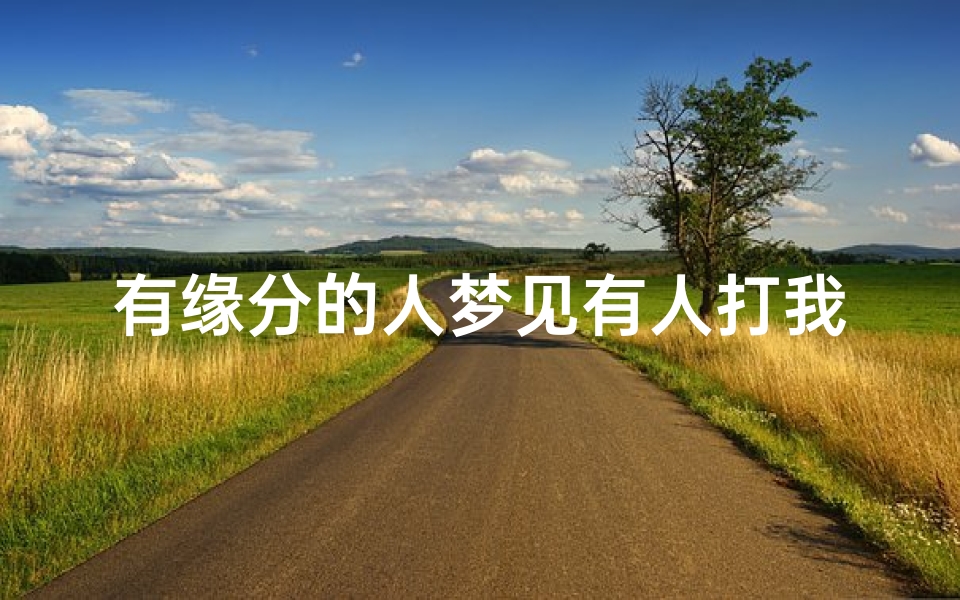 有缘分的人梦见有人打我_做梦有人打你是什么意思