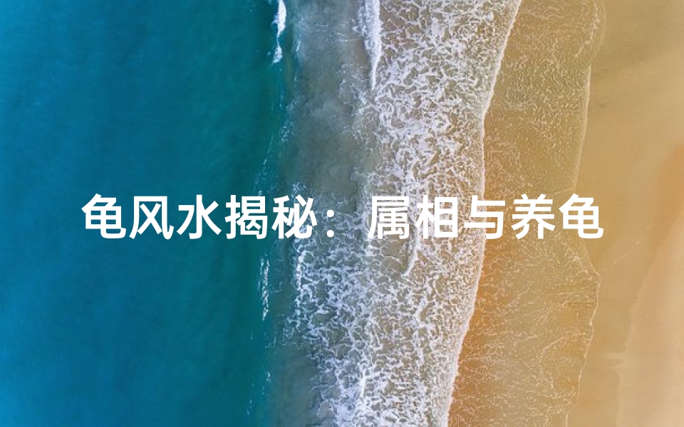 龟风水揭秘:属相与养龟吉凶有何关联?