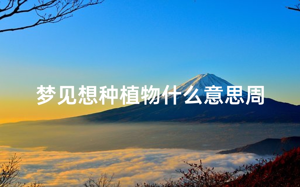 梦见想种植物什么意思周公解梦(女人梦见自己种绿植是什么意思)