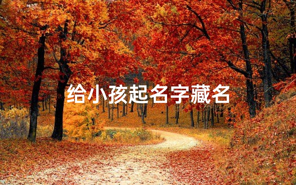 给小孩起名字藏名